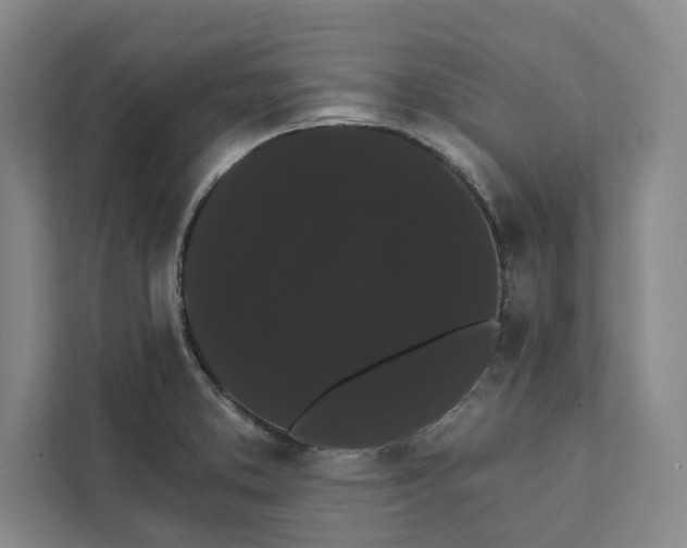 X0000111461373200908031331