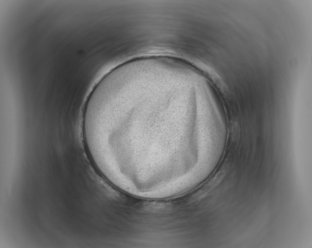 X0000111461374200908031331