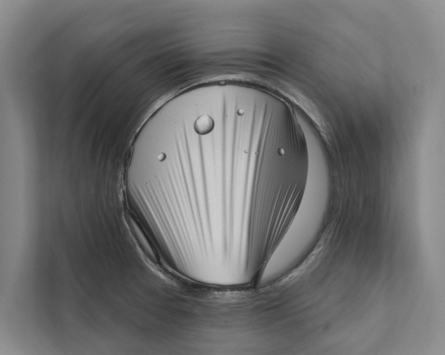 X0000111461377200908031331