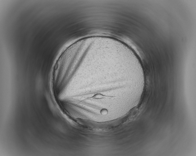 X0000111461379200908031331
