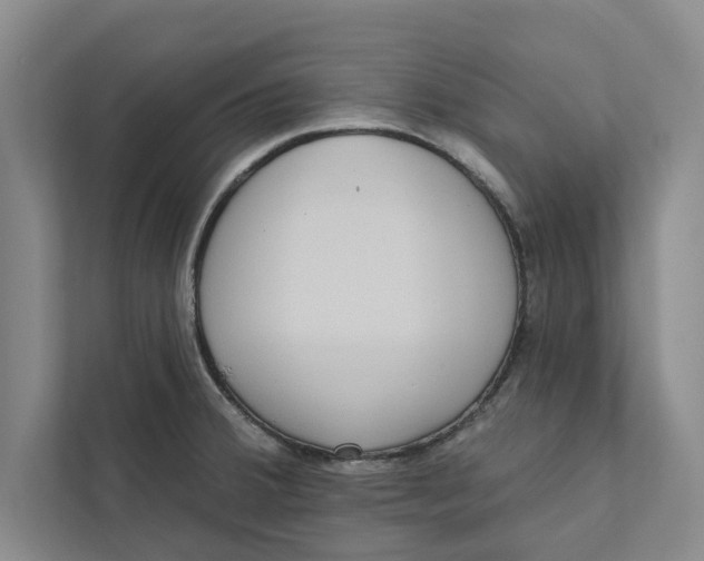 X0000111461380200908031331