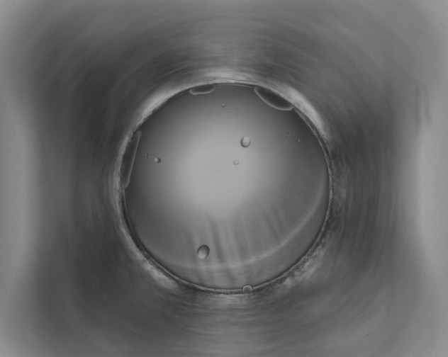X0000111461381200908031331