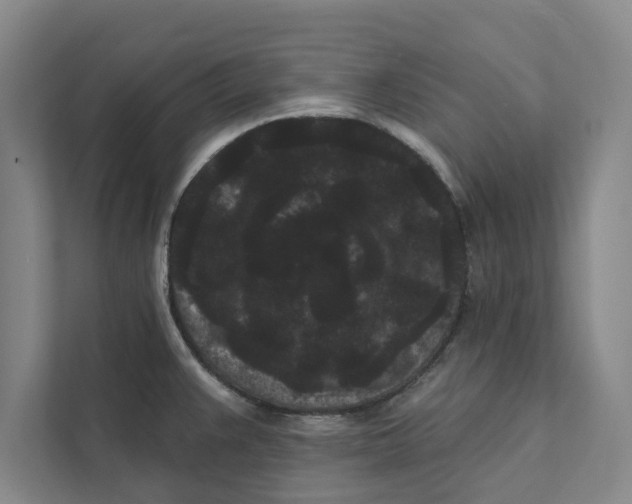 X0000111461383200908031331