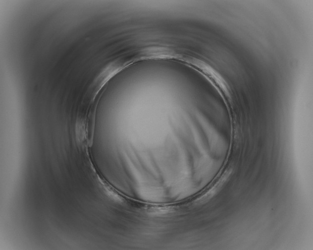 X0000111461385200908031331