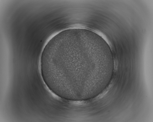 X0000111461387200908031331