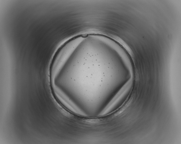 X0000111461388200908031331