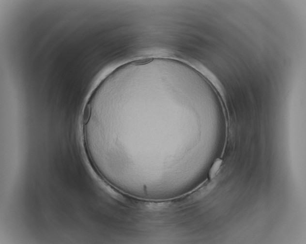 X0000111461389200908031331
