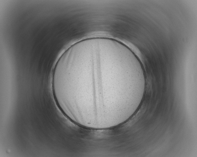 X0000111461390200908031331