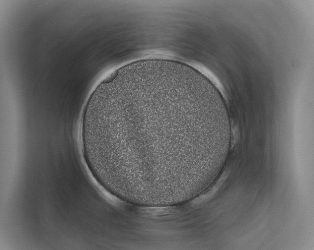X0000111461391200908031331