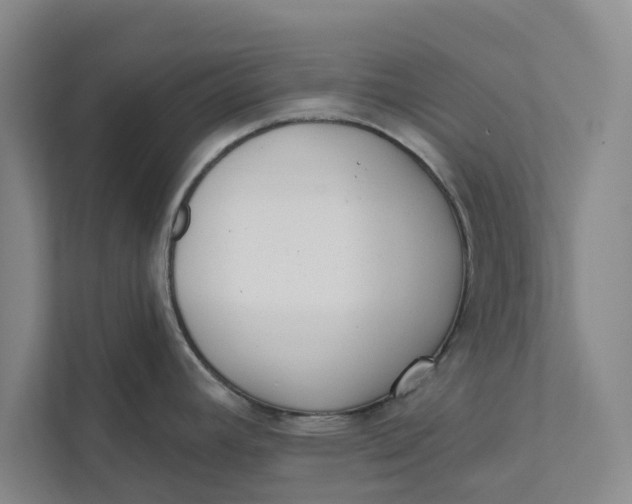 X0000111461392200908031331