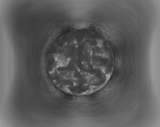 X0000111461393200908031330