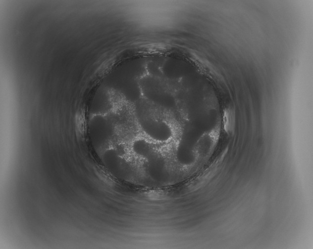 X0000111461395200908031330
