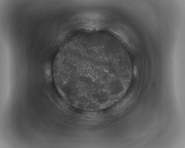 X0000111461396200908031330