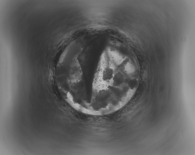 X0000111461397200908031330