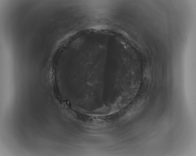 X0000111461398200908031330