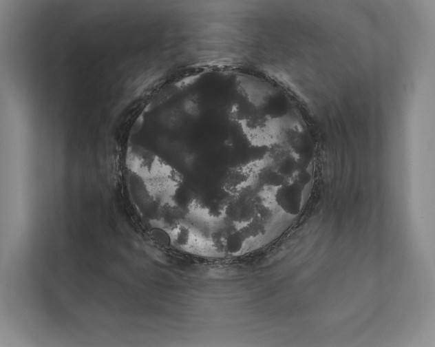 X0000111461399200908031330