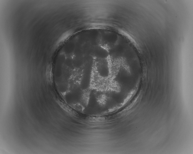 X0000111461403200908031330