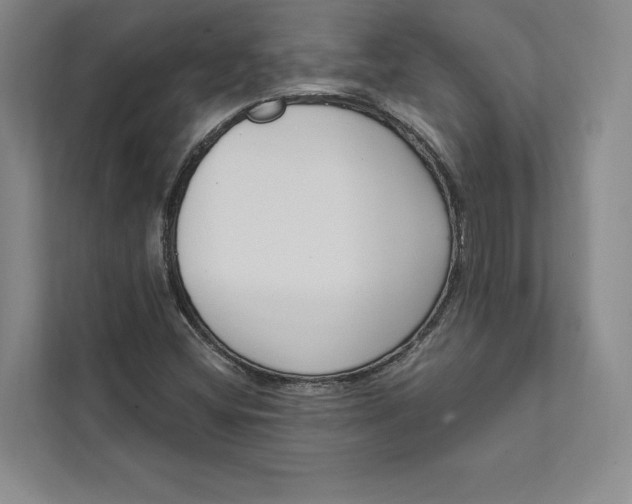 X0000111461404200908031330