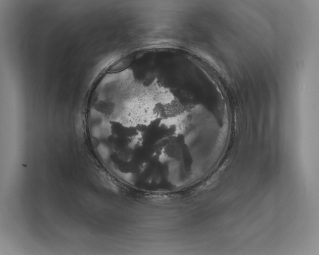 X0000111461405200908031330
