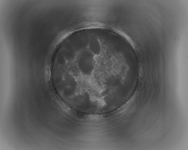 X0000111461407200908031330