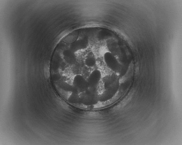 X0000111461409200908031330