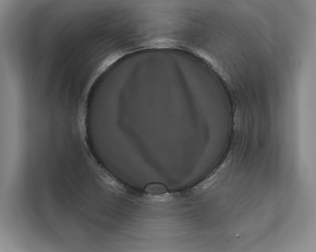 X0000111461410200908031330