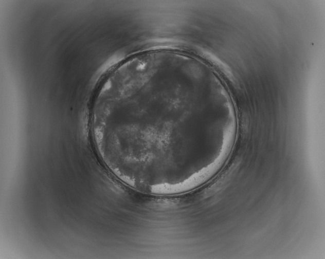 X0000111461411200908031330