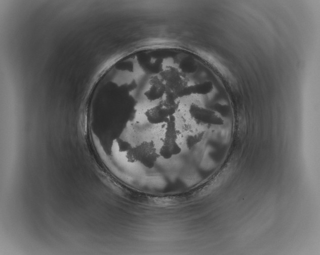 X0000111461413200908031330