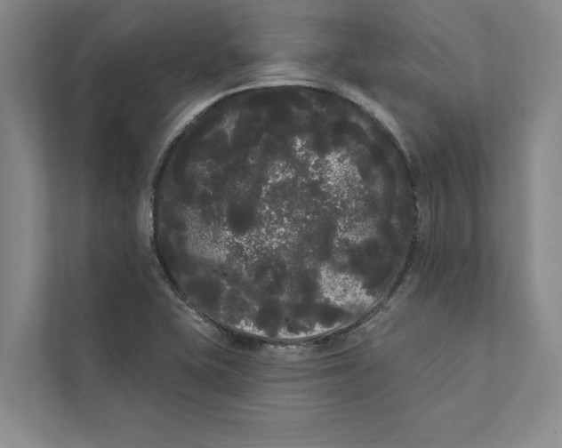 X0000111461415200908031330