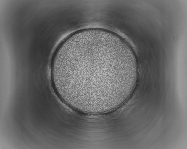 X0000111461416200908031330