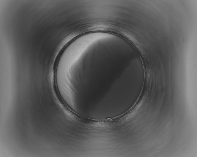 X0000111461418200908031330