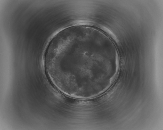 X0000111461419200908031330