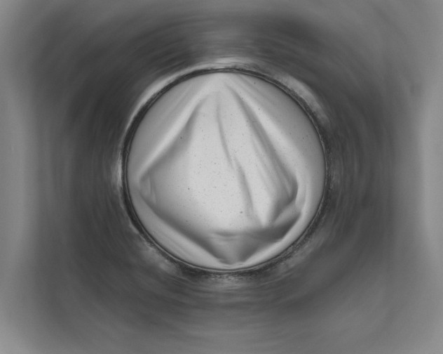 X0000111461420200908031330