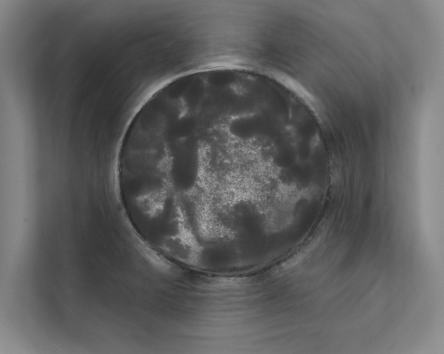 X0000111461423200908031330