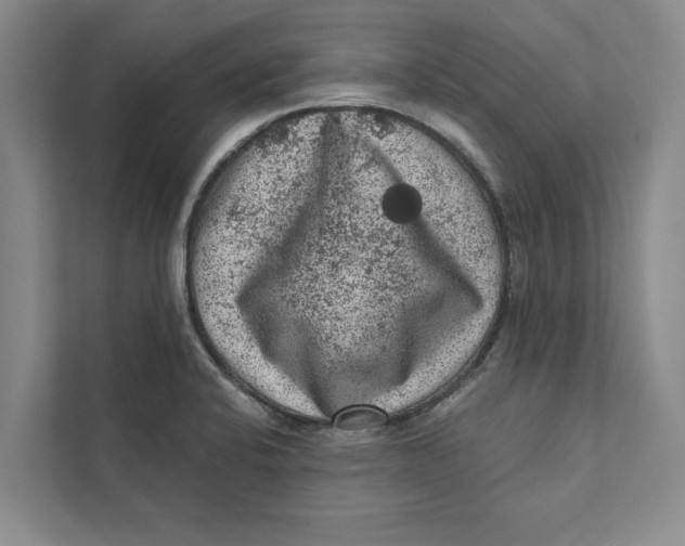 X0000111461424200908031330