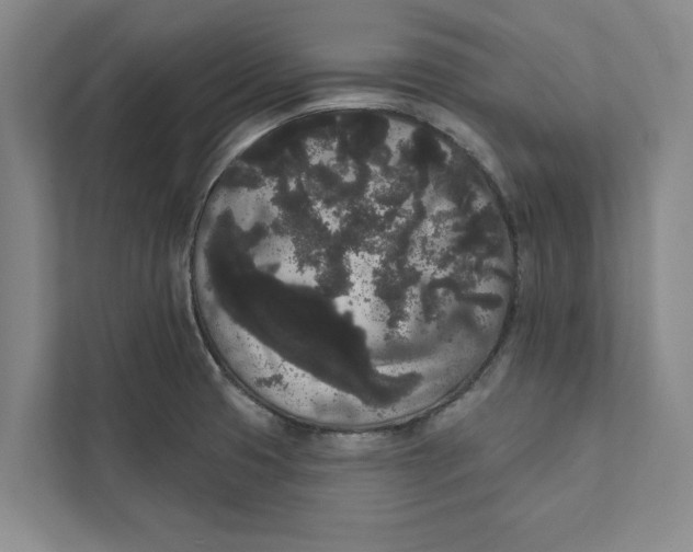 X0000111461425200908031330