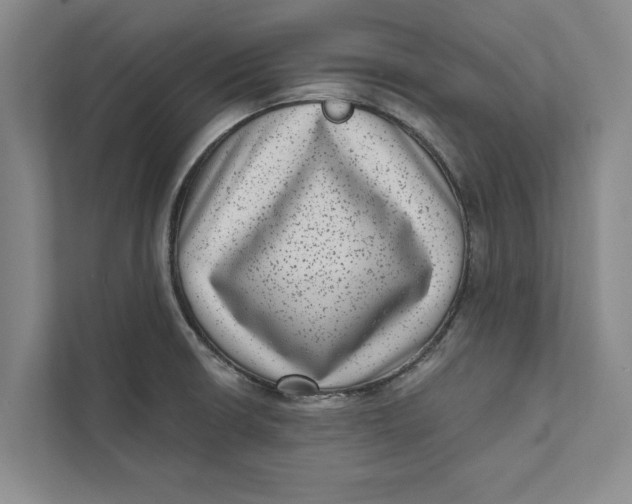 X0000111461426200908031330