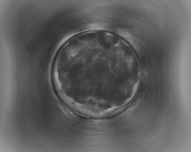 X0000111461427200908031330
