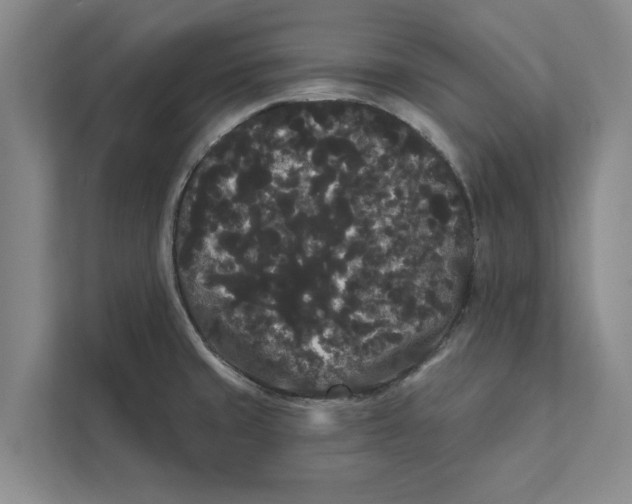 X0000111461429200908031330