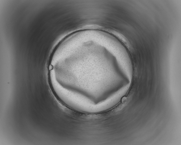 X0000111461430200908031330
