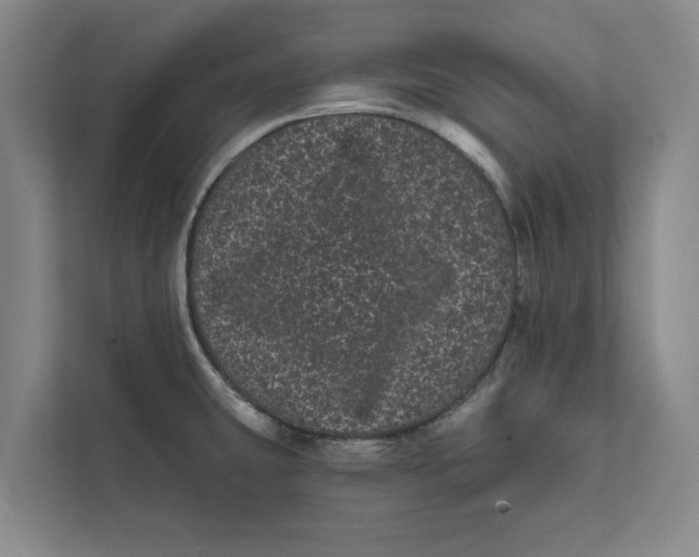 X0000111461431200908031330