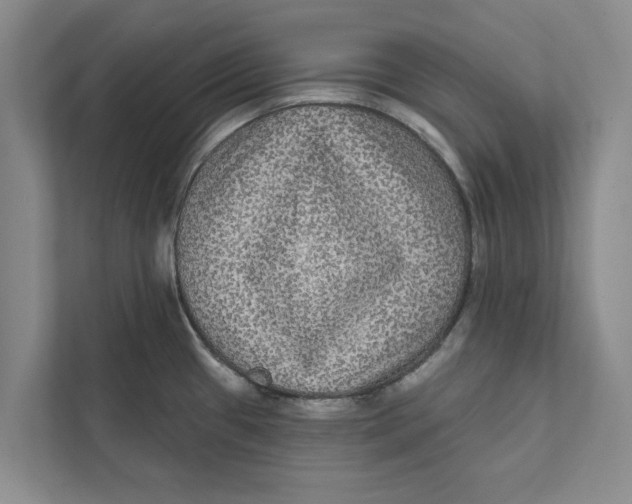 X0000111461433200908031330