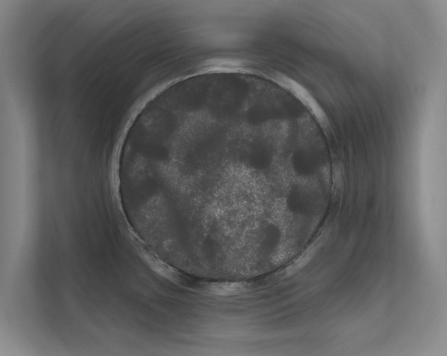 X0000111461435200908031330