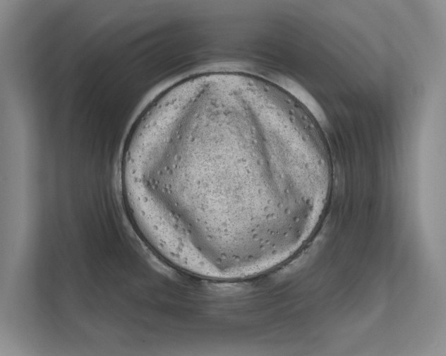 X0000111461436200908031331