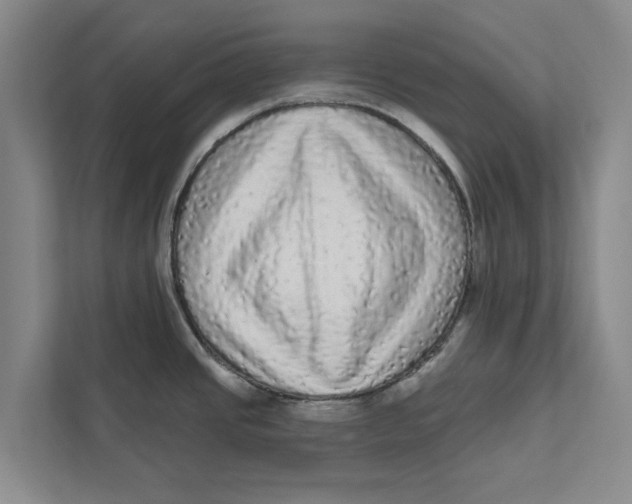 X0000111461437200908031331