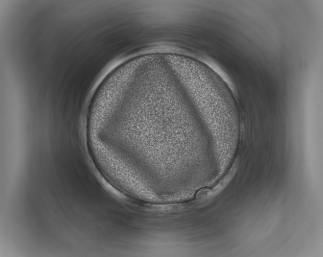 X0000111461438200908031331