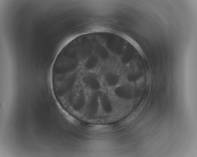 X0000111461439200908031331