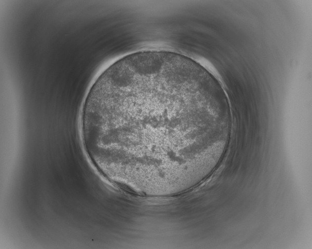 X0000111461440200908031331