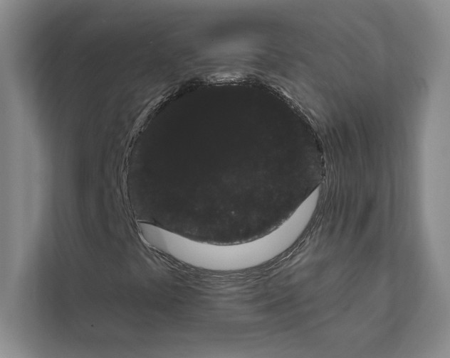 X0000111461441200908031330