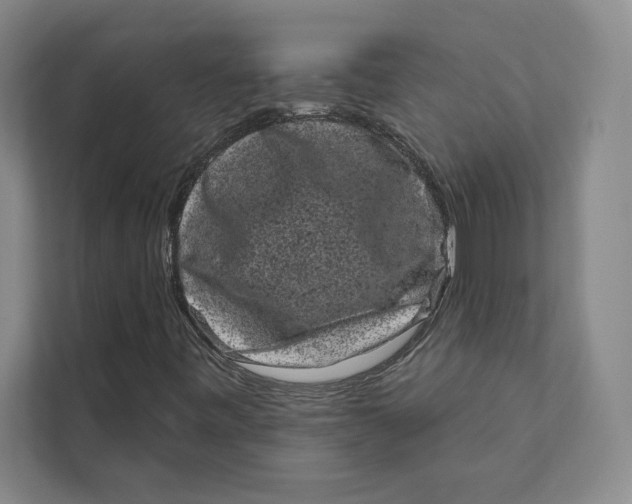 X0000111461443200908031330